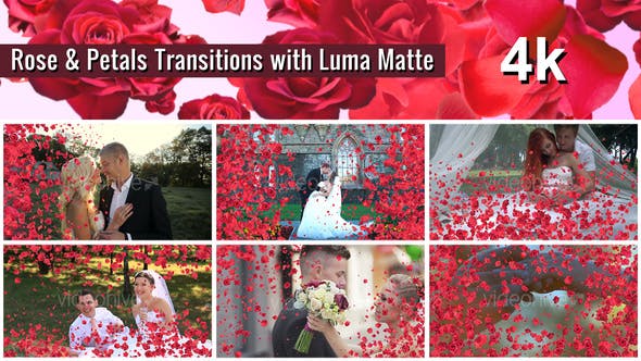 视频素材-唯美温馨婚礼情人节玫瑰花瓣遮罩转场